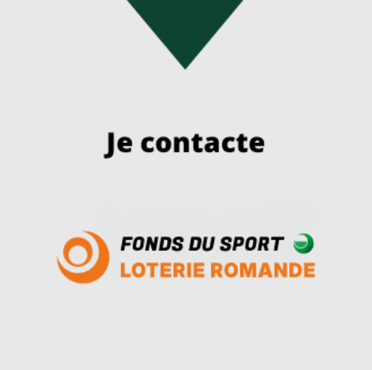 Athletes Vaudois Mosaique Choix Fonds Du Sport Vaudois Fond Gris Fonce 05